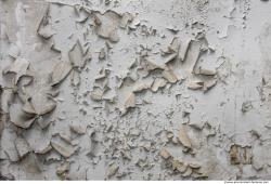 Walls Plaster